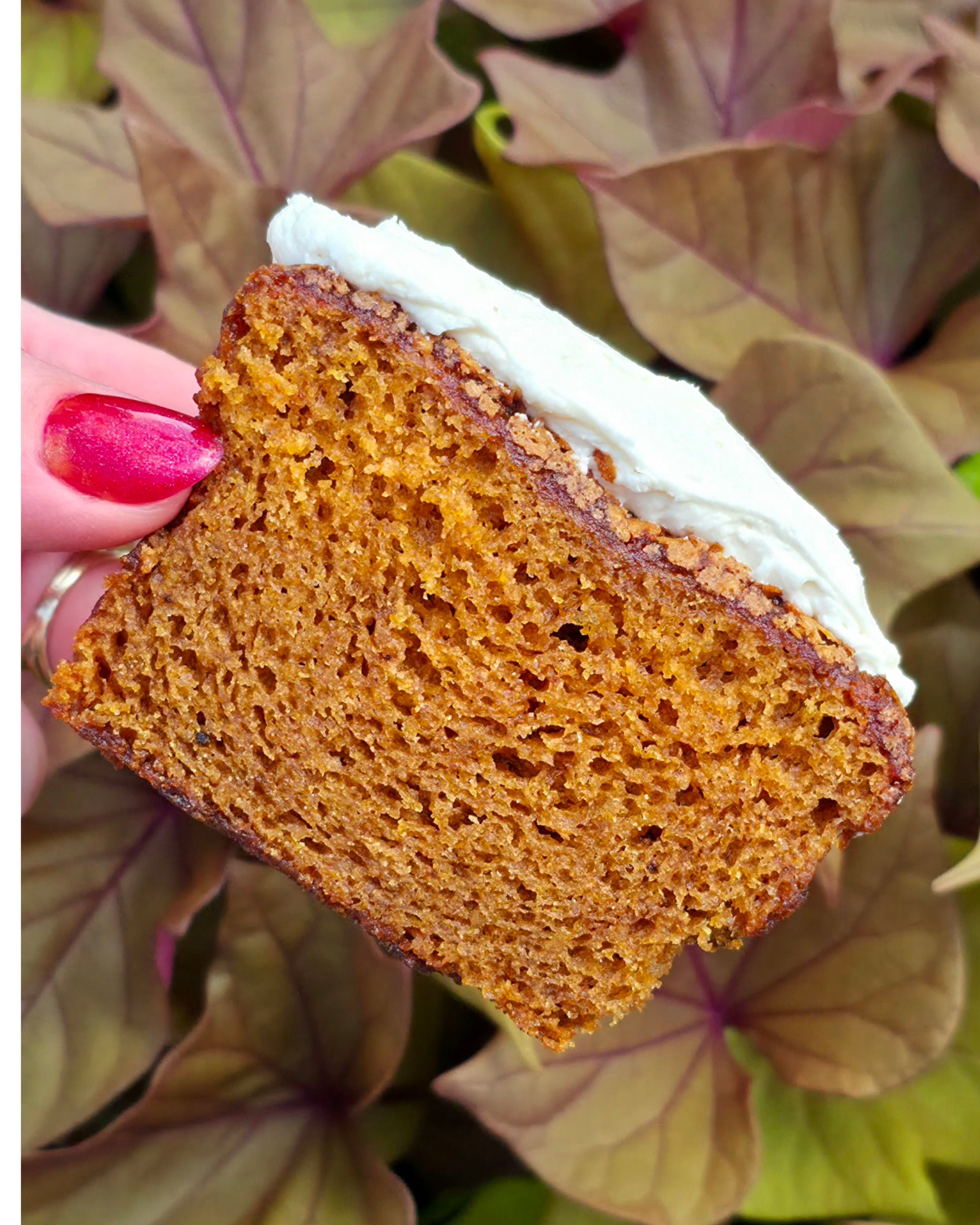 Pumpkin Loaf & Maple Buttercream