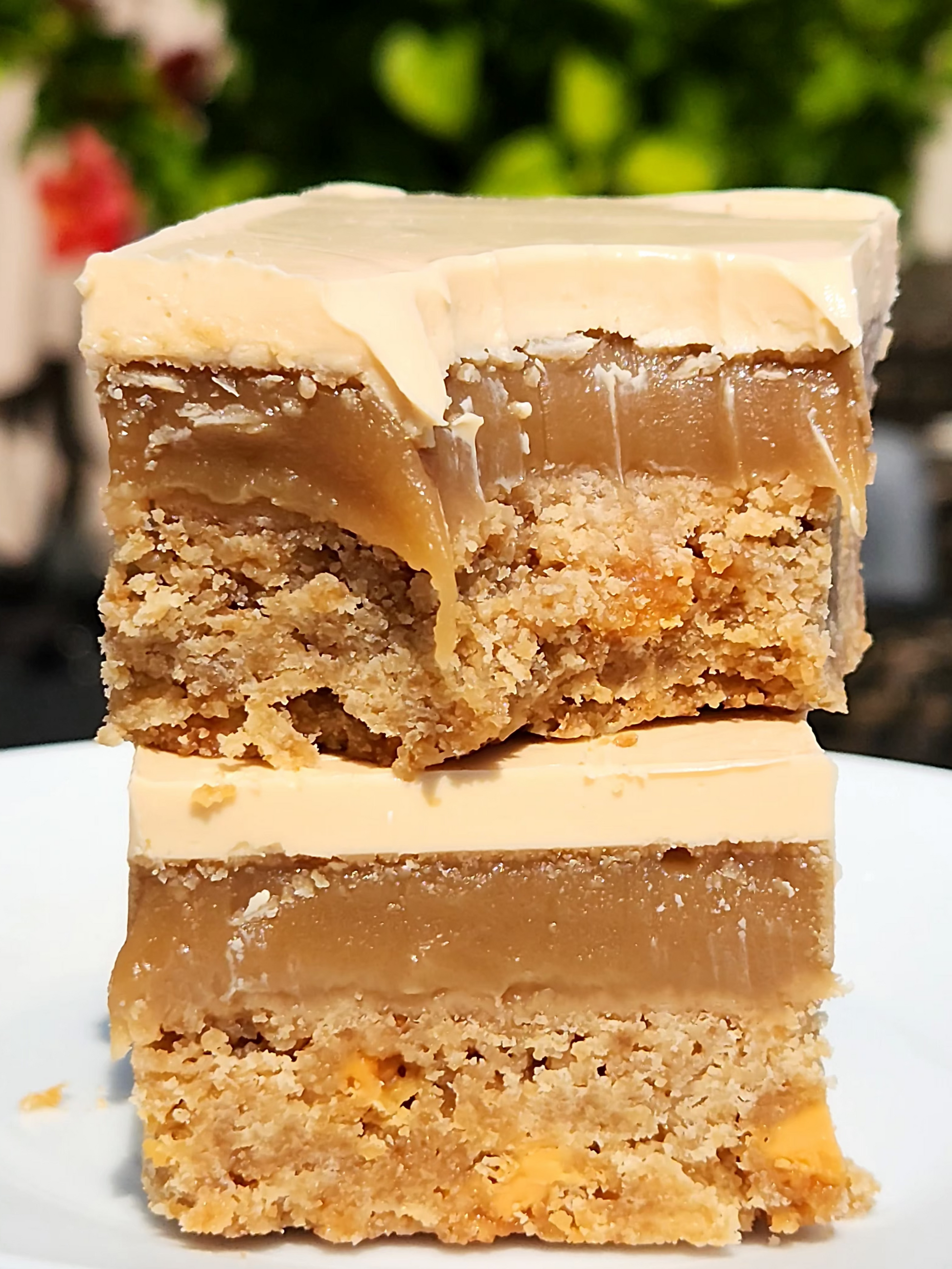 Close-up of a layered dessert on a white plate with a blurred natural background